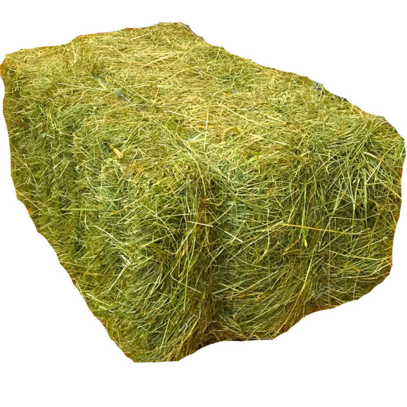 StaWa Heu ca. 15 kg Heuballen !!! Qualitätsheu vom Schönbuch !!! – jetzt kaufen bei Stadtmühle Waldenbuch Onlineshop