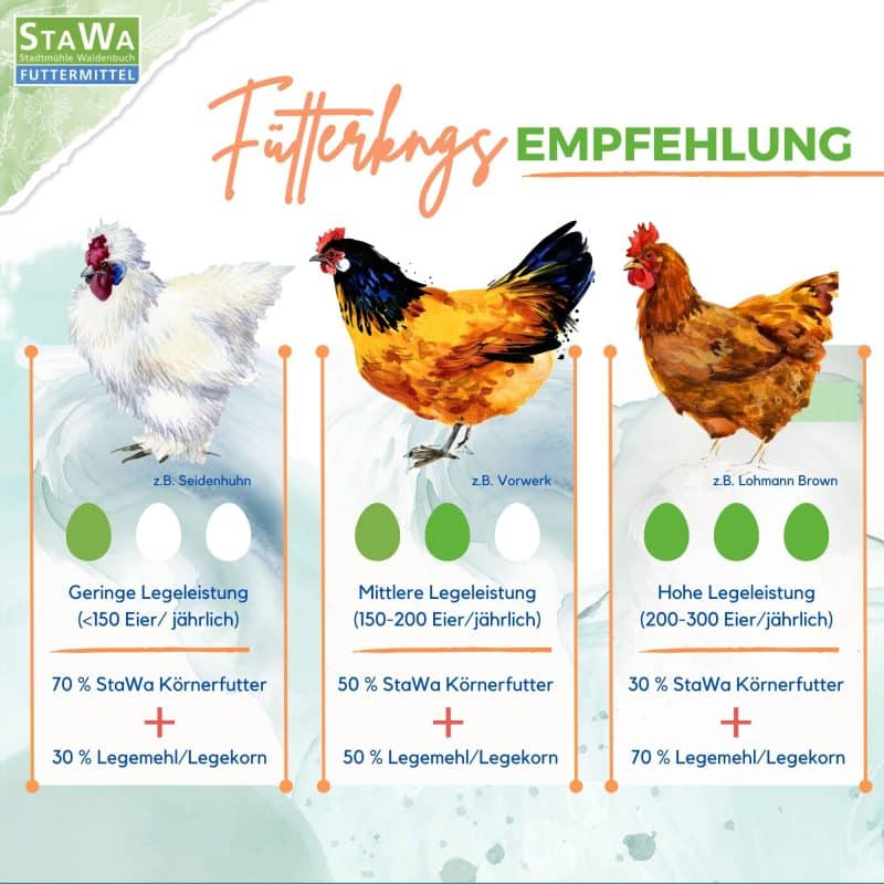 StaWa Hühnerfutter Geflügelkörnerfutter Körnerfutter | ohne Gentechnik | mit Oregano Öl – Detailbild 5 – jetzt kaufen bei Stadtmühle Waldenbuch