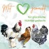 StaWa Hühnerfutter Geflügelkörnerfutter Körnerfutter | ohne Gentechnik | mit Oregano Öl – Detailbild 7 – jetzt kaufen bei Stadtmühle Waldenbuch