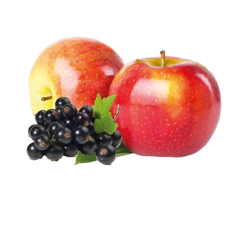 Apfel-Johannisbeersaft (schwarz) 100% Direktsaft Bag in Box 5 L – Detailbild 1 – jetzt kaufen bei Stadtmühle Waldenbuch