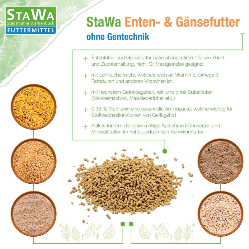StaWa Enten-und Gänsefutter | ohne Gentechnik – Detailbild 4 – jetzt kaufen bei Stadtmühle Waldenbuch