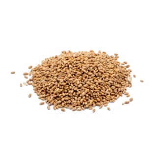 StaWa Weizen | Geflügelfutter | Hühnerfutter | Mühlenqualität | 25 kg – jetzt kaufen bei Stadtmühle Waldenbuch Onlineshop