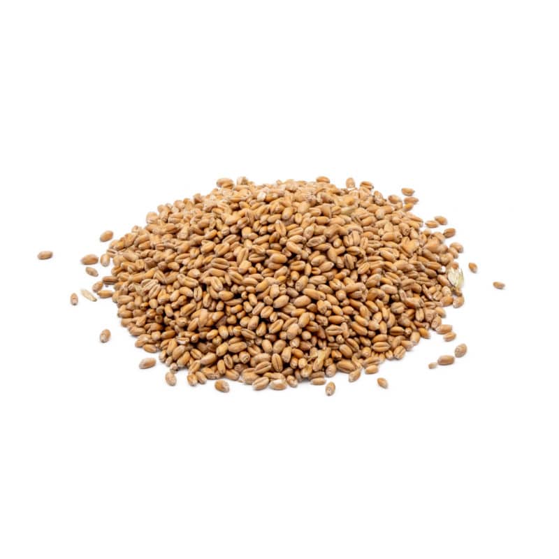 StaWa Weizen | Geflügelfutter | Hühnerfutter | Mühlenqualität | 25 kg – jetzt kaufen bei Stadtmühle Waldenbuch Onlineshop