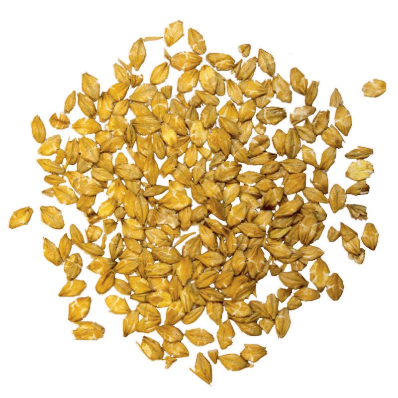 Marstall Naturgold Gerstenflocken 20 kg – Detailbild 1 – jetzt kaufen bei Stadtmühle Waldenbuch