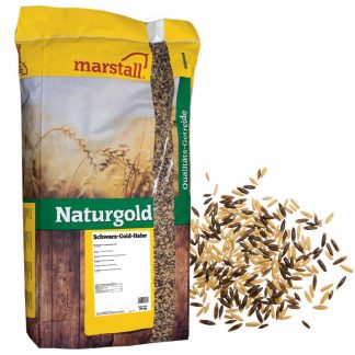 Packung Schwarz Gold Hafer Bild