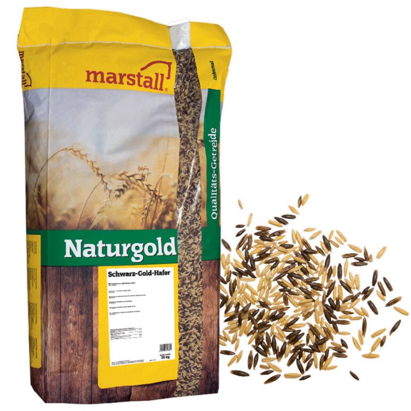 Packung Schwarz Gold Hafer Bild