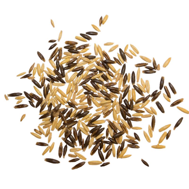 Marstall Naturgold Schwarz-Gold-Hafer (ganz) 25 kg – Detailbild 1 – jetzt kaufen bei Stadtmühle Waldenbuch