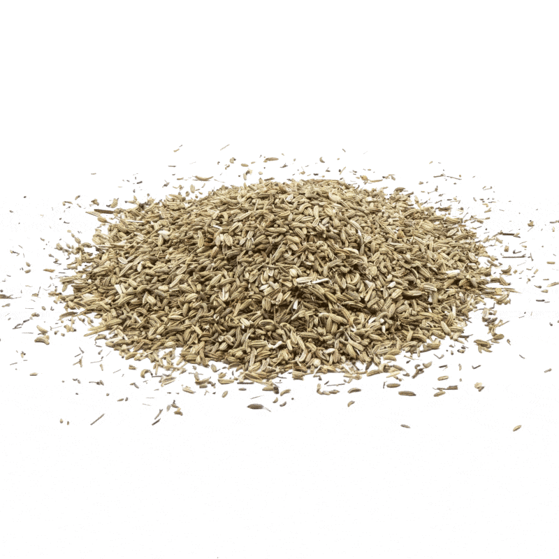 StaWa Fenchel süß ganz für Hühner und Wachteln - 100 g – jetzt kaufen bei Stadtmühle Waldenbuch Onlineshop