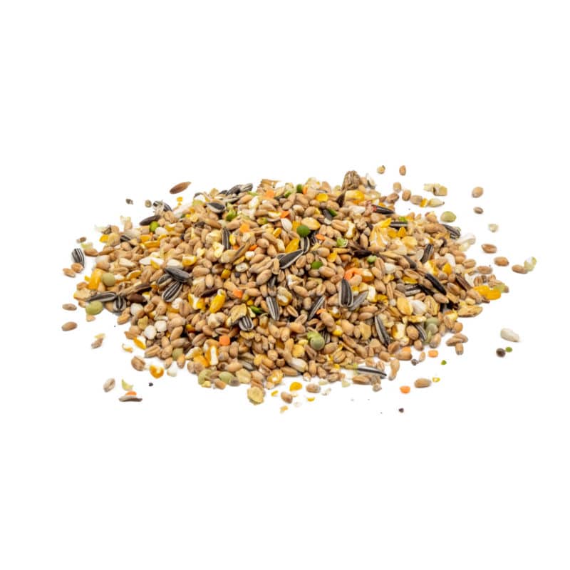 StaWa VitalMix Hühnerfutter Geflügelkörnerfutter | ohne Gentechnik | mit Schwarzkümmel + Oregano Öl – jetzt kaufen bei Stadtmühle Waldenbuch Onlineshop