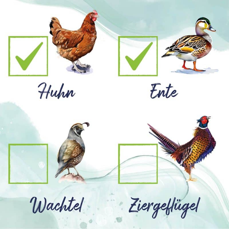 Vitalmix Geeeignet für Hühner und Enten