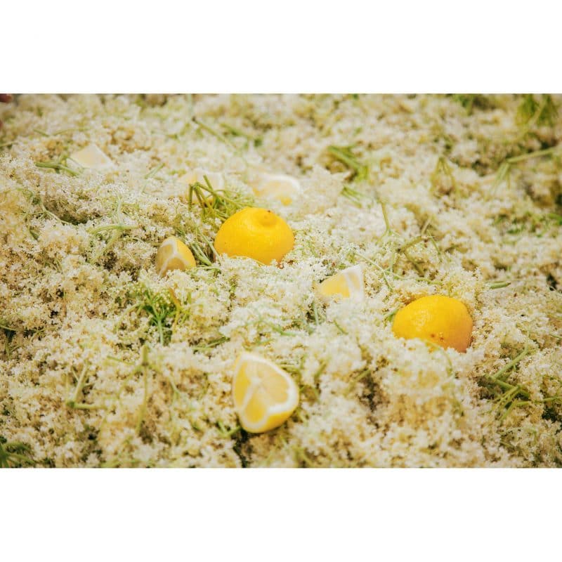 HolunderBlütenWunder Sirup Holunderblüte 0,25 l – Detailbild 3 – jetzt kaufen bei Stadtmühle Waldenbuch