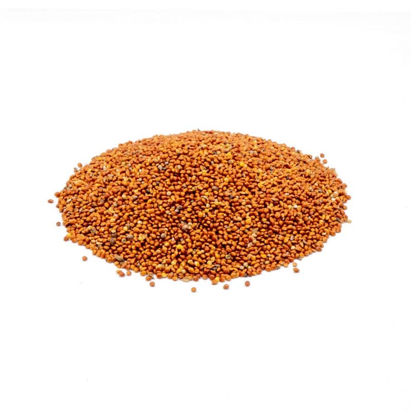 StaWa Hirse rot