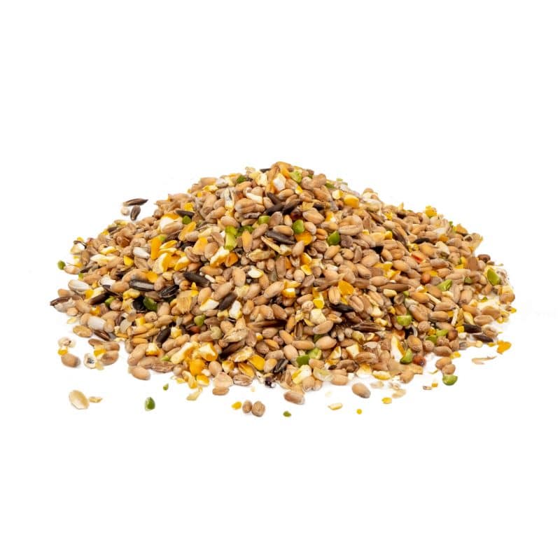 StaWa Premium Hühnerfutter, Geflügelkörnerfutter, ohne Gentechnik, mit Oregano und Pfefferminz-Öl – Detailbild 2 – jetzt kaufen bei Stadtmühle Waldenbuch