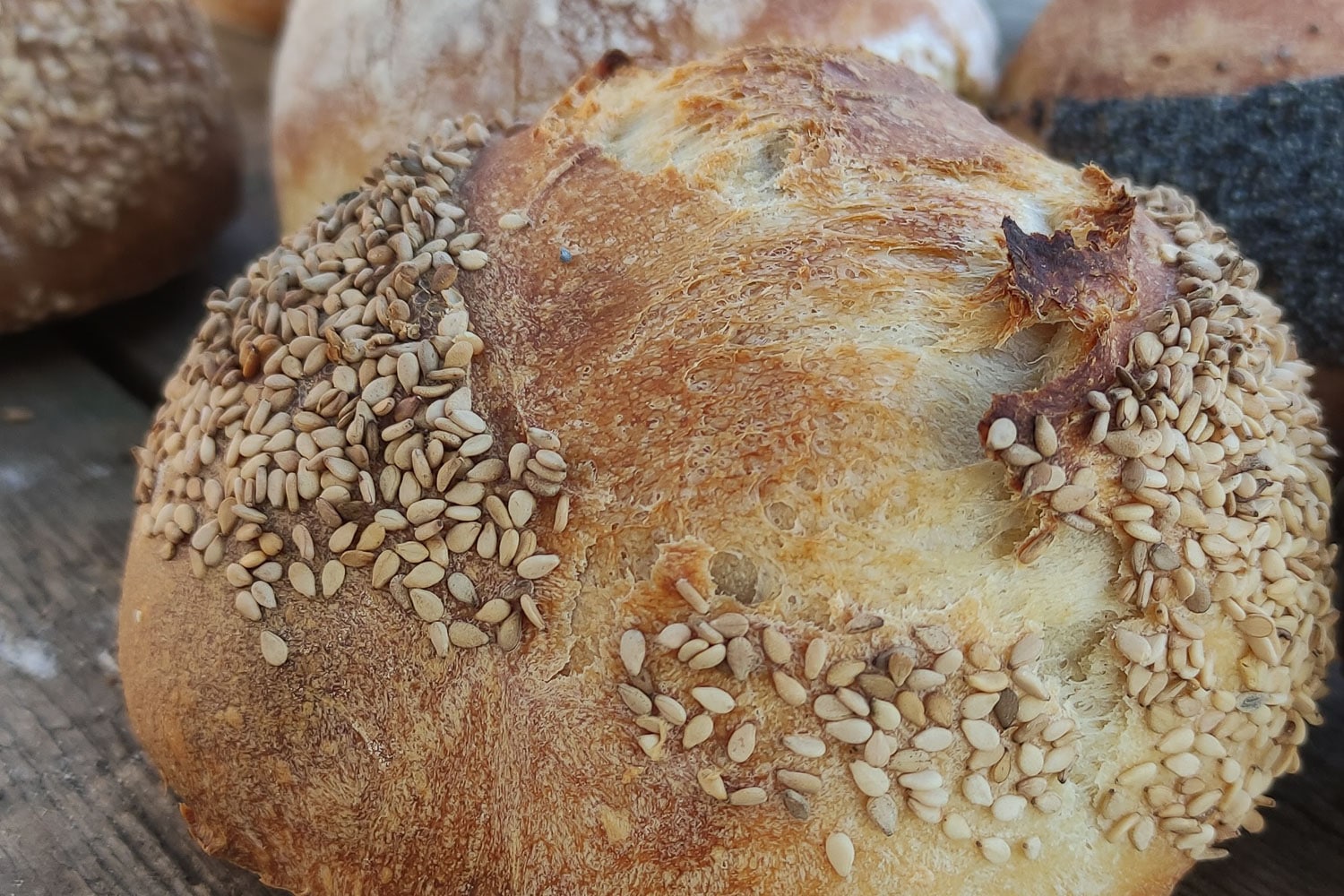 8-Stunden Brötchen Brotbackrezept