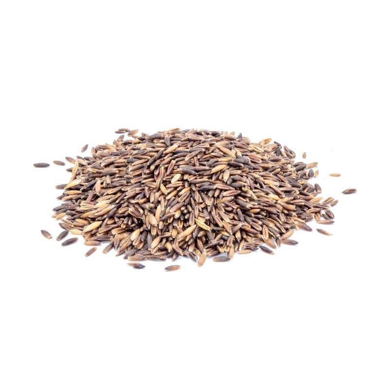 Produktbild Schwarzhafer