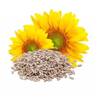 StaWa Sonnenblumenkerne geschält – schalenfrei & energiereich – jetzt kaufen bei Stadtmühle Waldenbuch