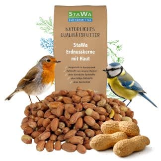 StaWa Erdnusskerne mit Haut (Light Skin) - Vogelfutter für Wildvögel, ganzjährig – jetzt kaufen bei Stadtmühle Waldenbuch