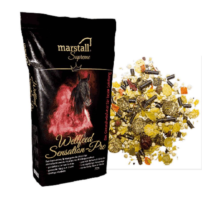 Produktbild Wellseed Sensation Pro