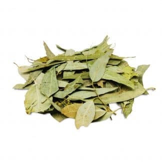 Produktbild Eukalyptus