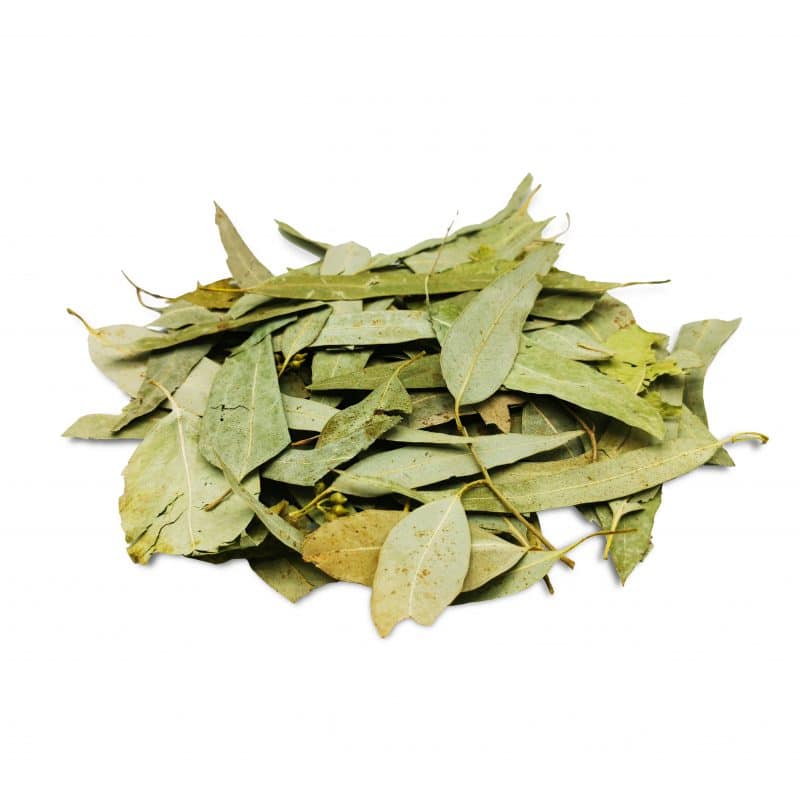 Produktbild Eukalyptus